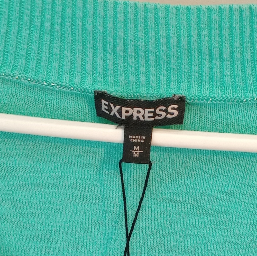 Express Aqua V-Neck Sweater - Picture 3 of 3